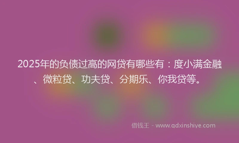 2025年的负债过高的网贷有哪些有：度小满金融、微粒贷、功夫贷、分期乐、你我贷等。