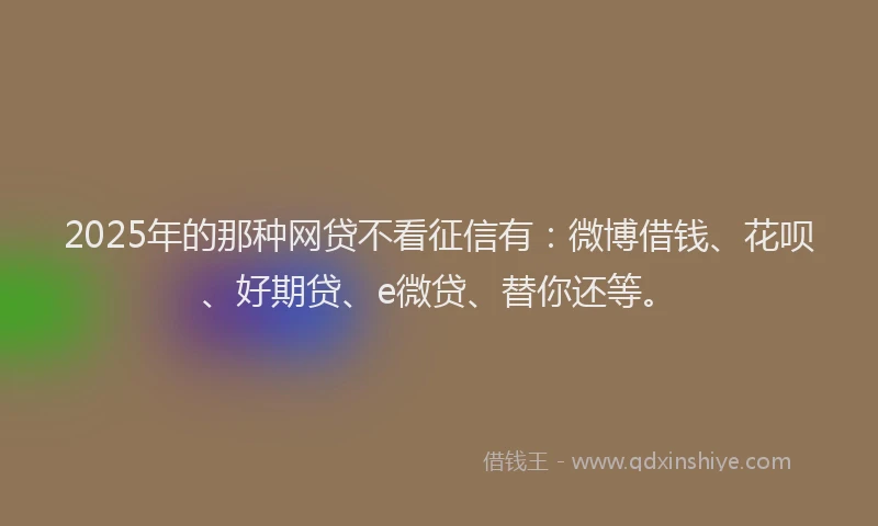 2025年的那种网贷不看征信有：微博借钱、花呗、好期贷、e微贷、替你还等。