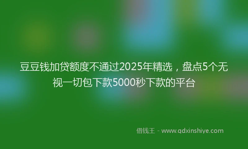 豆豆钱加贷额度不通过2025年精选，盘点5个无视一切包下款5000秒下款的平台