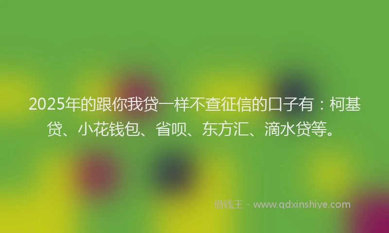 2025年的跟你我贷一样不查征信的口子有：柯基贷、小花钱包、省呗、东方汇、滴水贷等。