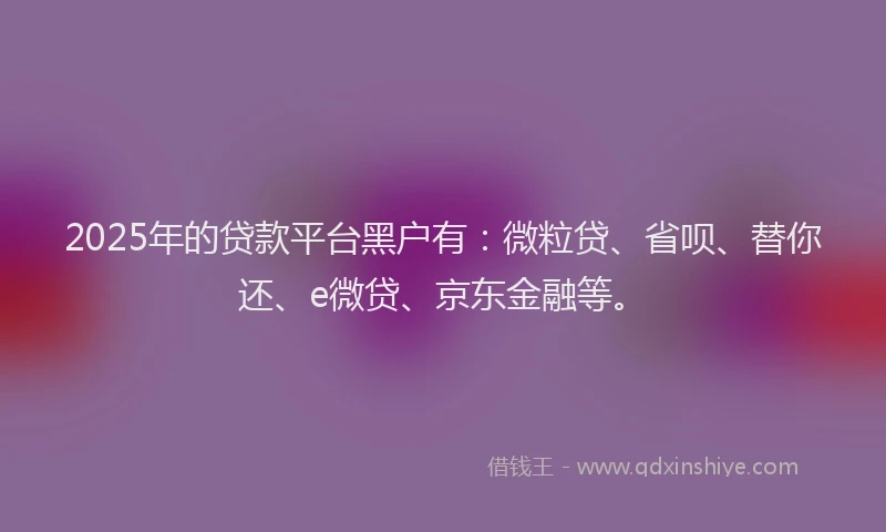 2025年的贷款平台黑户有：微粒贷、省呗、替你还、e微贷、京东金融等。