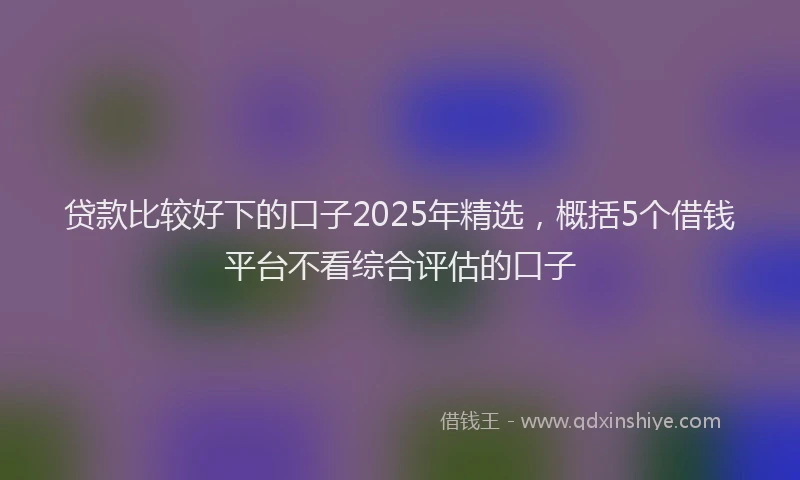 贷款比较好下的口子2025年精选，概括5个借钱平台不看综合评估的口子