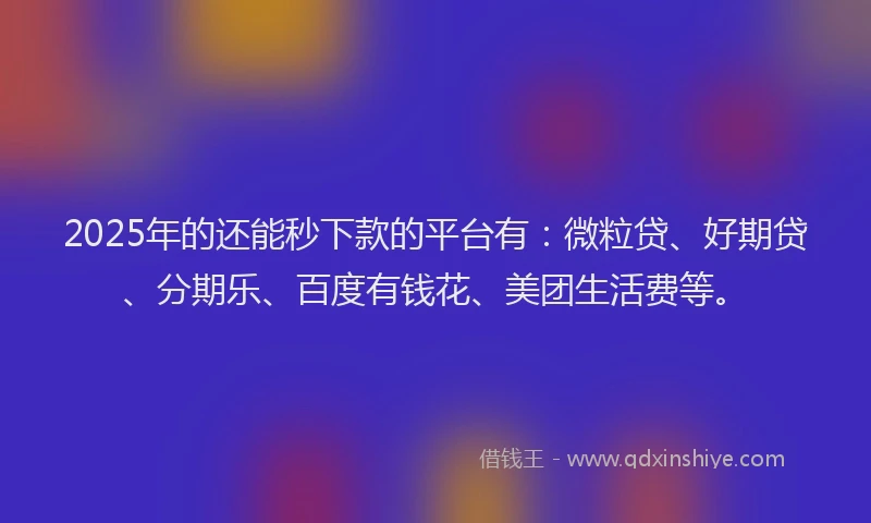 2025年的还能秒下款的平台有：微粒贷、好期贷、分期乐、百度有钱花、美团生活费等。