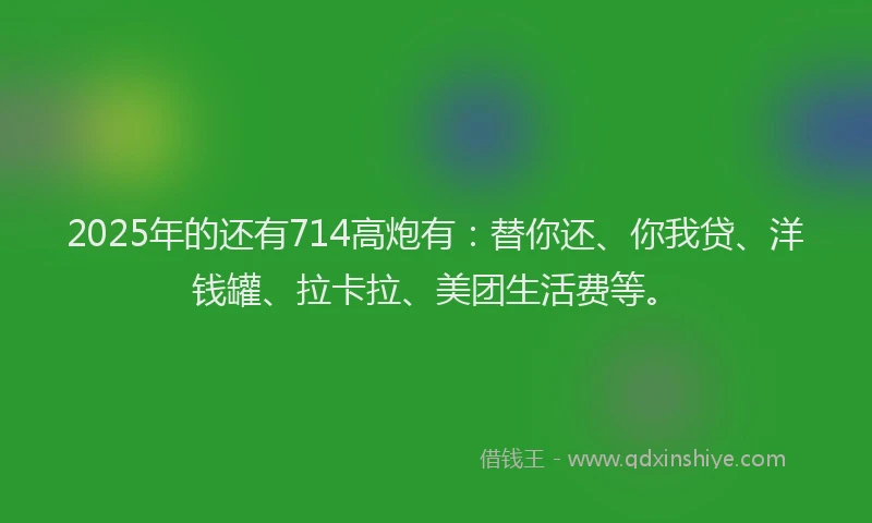 2025年的还有714高炮有：替你还、你我贷、洋钱罐、拉卡拉、美团生活费等。