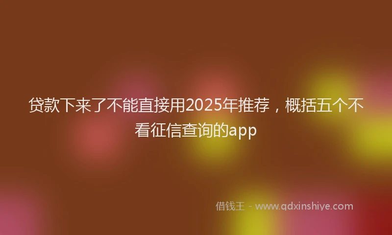 贷款下来了不能直接用2025年推荐，概括五个不看征信查询的app