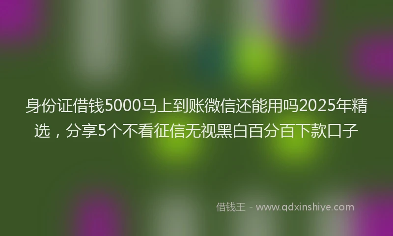 身份证借钱5000马上到账微信还能用吗2025年精选，分享5个不看征信无视黑白百分百下款口子