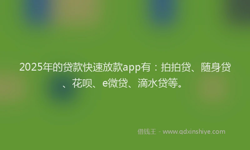 2025年的贷款快速放款app有：拍拍贷、随身贷、花呗、e微贷、滴水贷等。