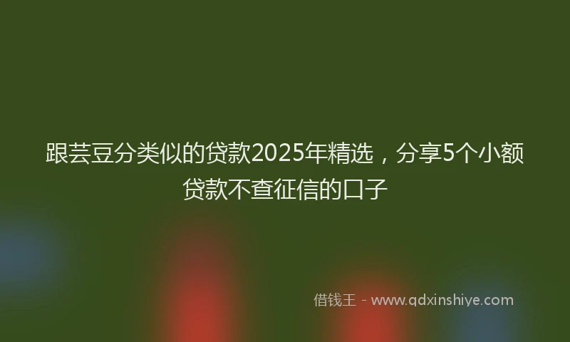跟芸豆分类似的贷款2025年精选，分享5个小额贷款不查征信的口子