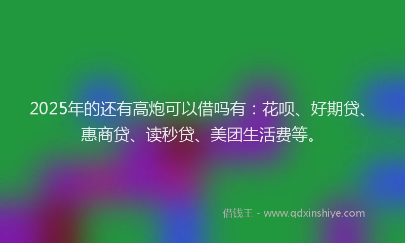 2025年的还有高炮可以借吗有：花呗、好期贷、惠商贷、读秒贷、美团生活费等。