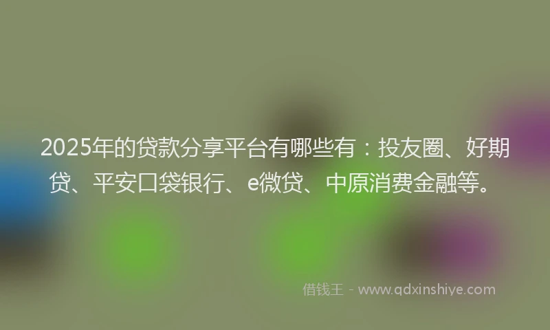 2025年的贷款分享平台有哪些有：投友圈、好期贷、平安口袋银行、e微贷、中原消费金融等。