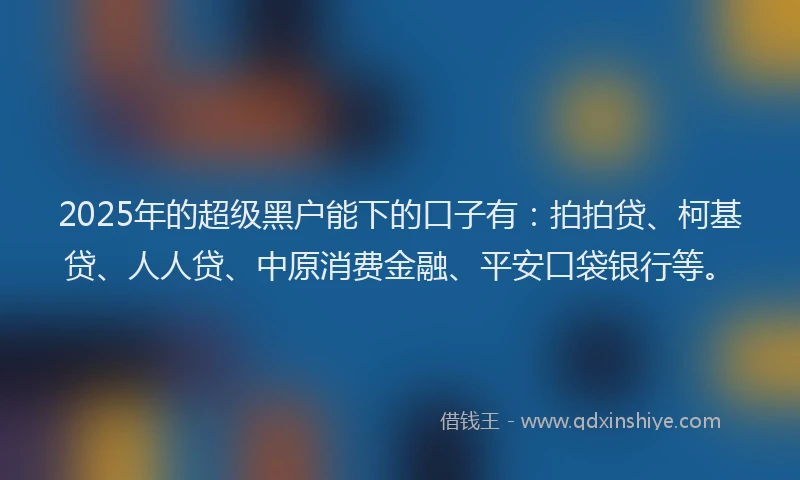 2025年的超级黑户能下的口子有：拍拍贷、柯基贷、人人贷、中原消费金融、平安口袋银行等。