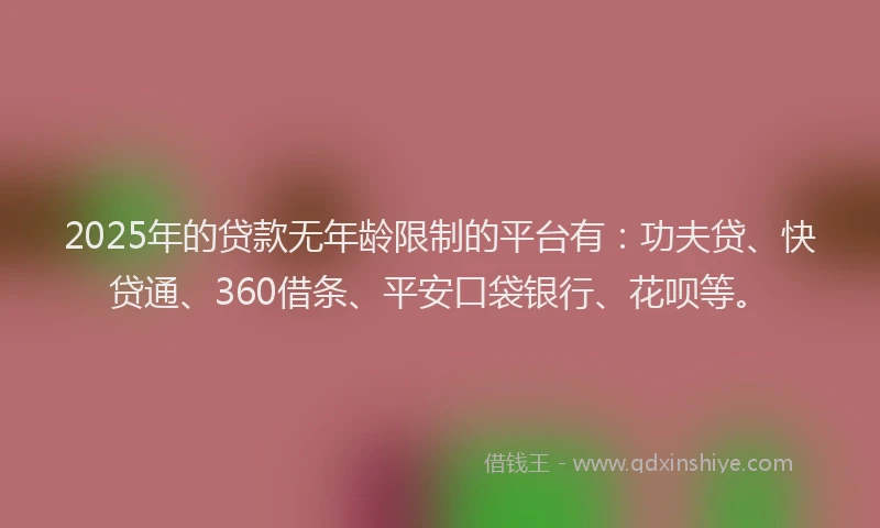 2025年的贷款无年龄限制的平台有：功夫贷、快贷通、360借条、平安口袋银行、花呗等。