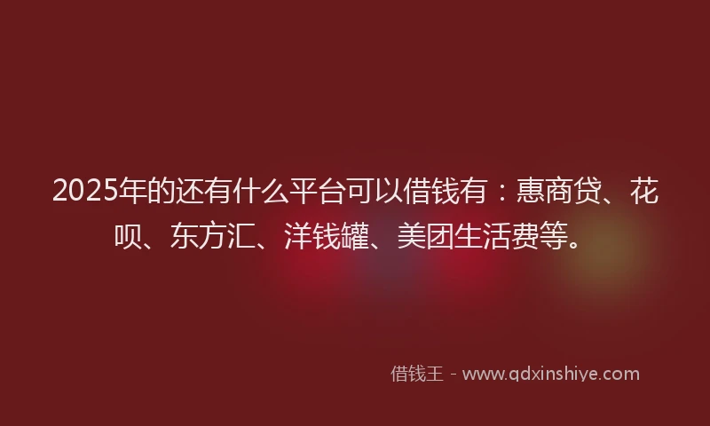 2025年的还有什么平台可以借钱有：惠商贷、花呗、东方汇、洋钱罐、美团生活费等。