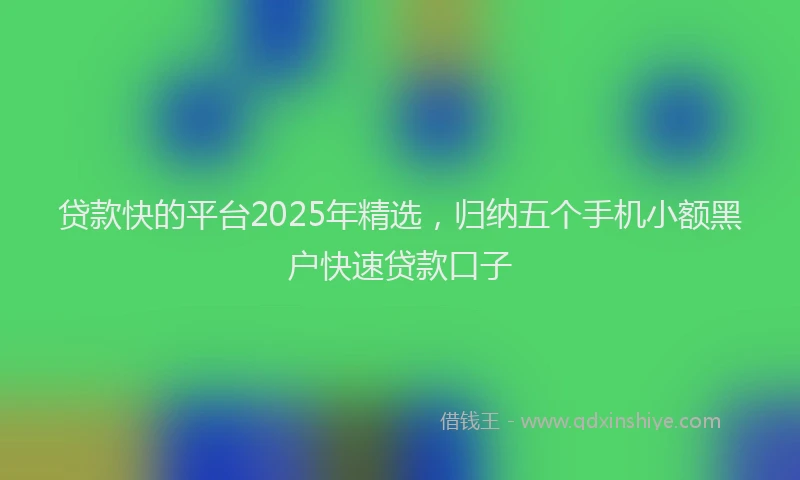 贷款快的平台2025年精选，归纳五个手机小额黑户快速贷款口子