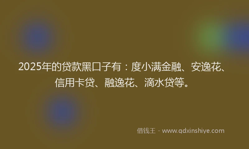 2025年的贷款黑口子有：度小满金融、安逸花、信用卡贷、融逸花、滴水贷等。