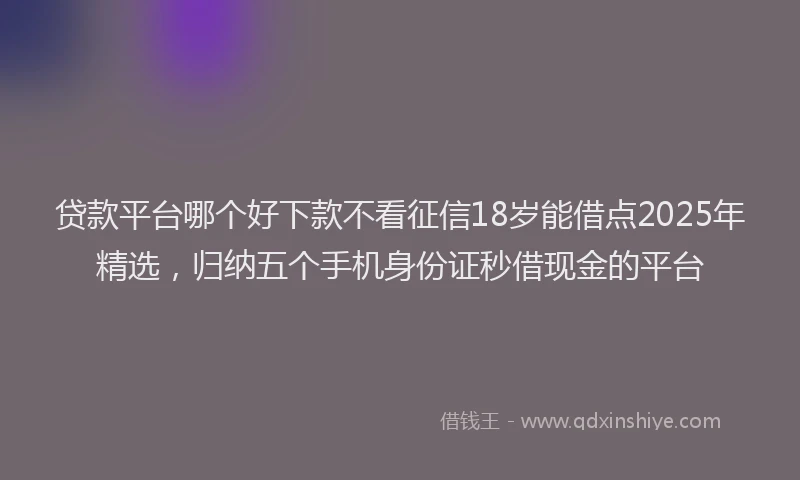 贷款平台哪个好下款不看征信18岁能借点2025年精选，归纳五个手机身份证秒借现金的平台