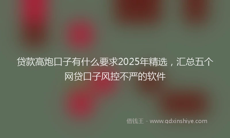 贷款高炮口子有什么要求2025年精选，汇总五个网贷口子风控不严的软件