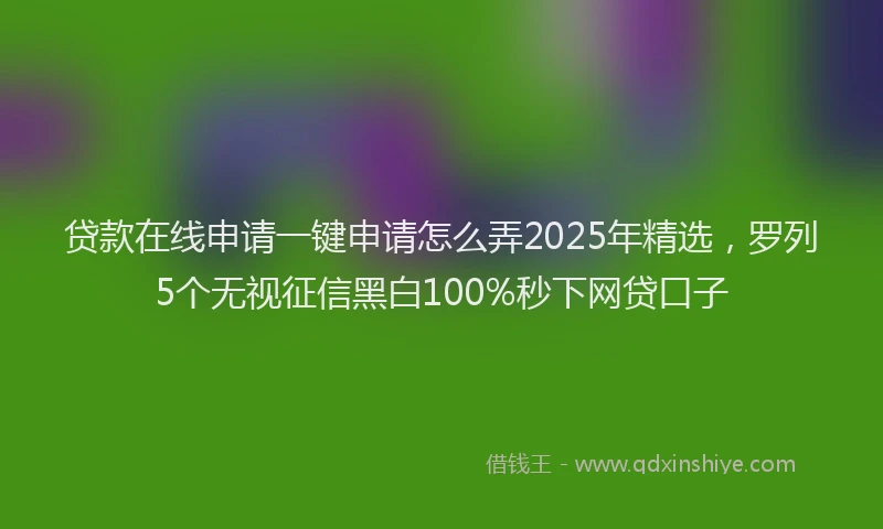 贷款在线申请一键申请怎么弄2025年精选，罗列5个无视征信黑白100%秒下网贷口子