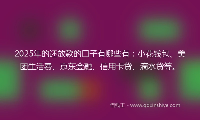 2025年的还放款的口子有哪些有：小花钱包、美团生活费、京东金融、信用卡贷、滴水贷等。