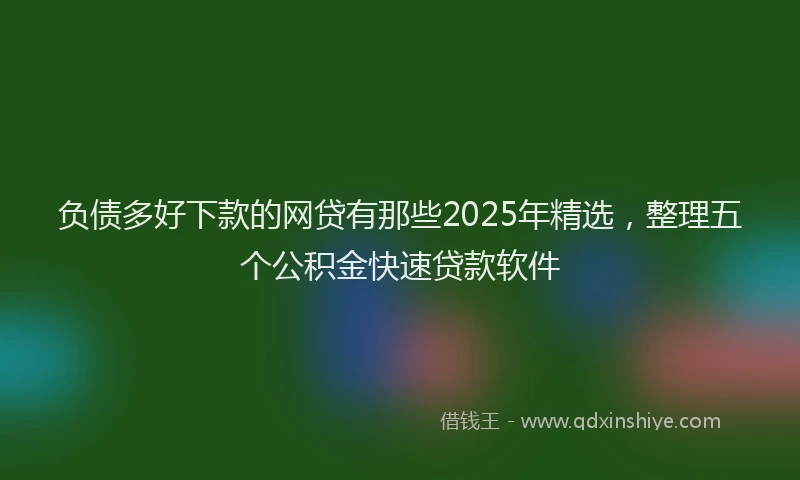 负债多好下款的网贷有那些2025年精选，整理五个公积金快速贷款软件