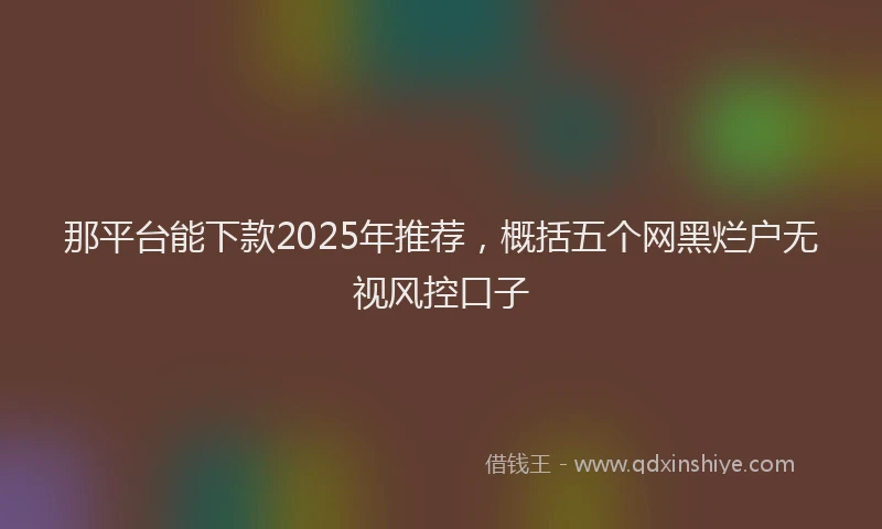 那平台能下款2025年推荐，概括五个网黑烂户无视风控口子