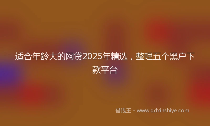 适合年龄大的网贷2025年精选，整理五个黑户下款平台