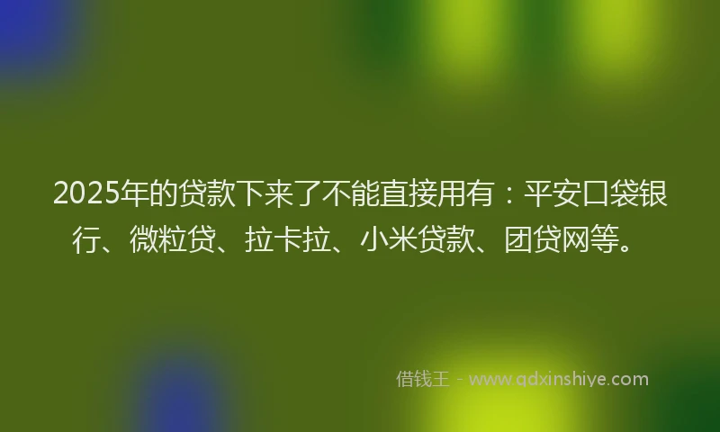 2025年的贷款下来了不能直接用有：平安口袋银行、微粒贷、拉卡拉、小米贷款、团贷网等。
