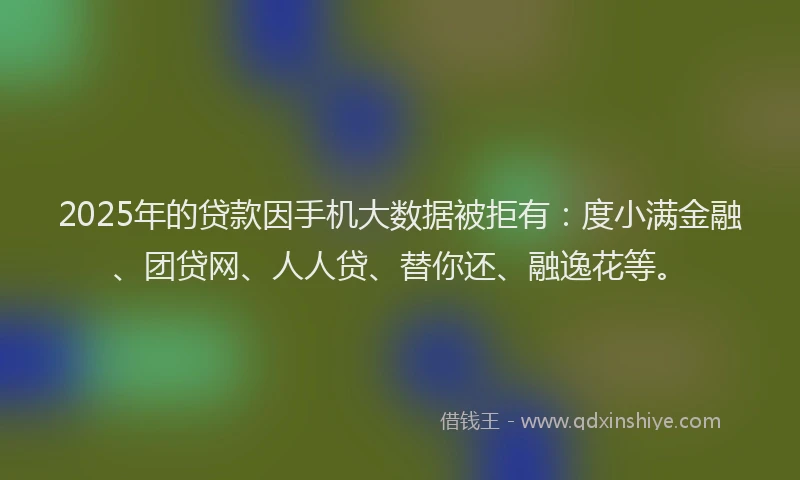 2025年的贷款因手机大数据被拒有：度小满金融、团贷网、人人贷、替你还、融逸花等。