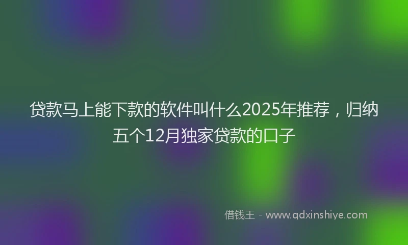 贷款马上能下款的软件叫什么2025年推荐，归纳五个12月独家贷款的口子