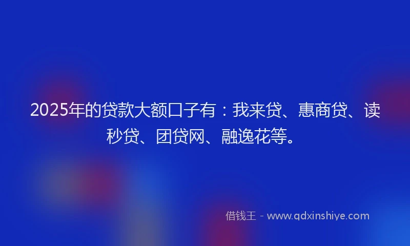 2025年的贷款大额口子有：我来贷、惠商贷、读秒贷、团贷网、融逸花等。