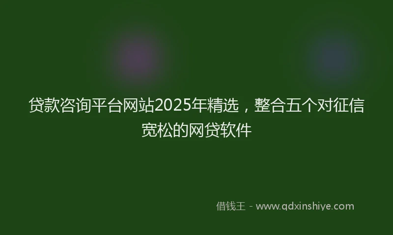 贷款咨询平台网站2025年精选，整合五个对征信宽松的网贷软件