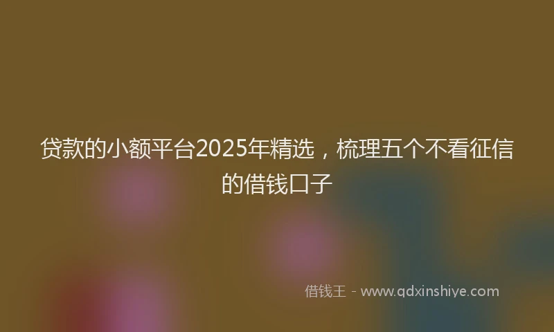 贷款的小额平台2025年精选，梳理五个不看征信的借钱口子