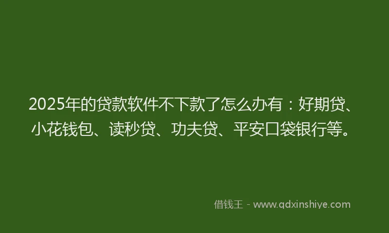 2025年的贷款软件不下款了怎么办有：好期贷、小花钱包、读秒贷、功夫贷、平安口袋银行等。