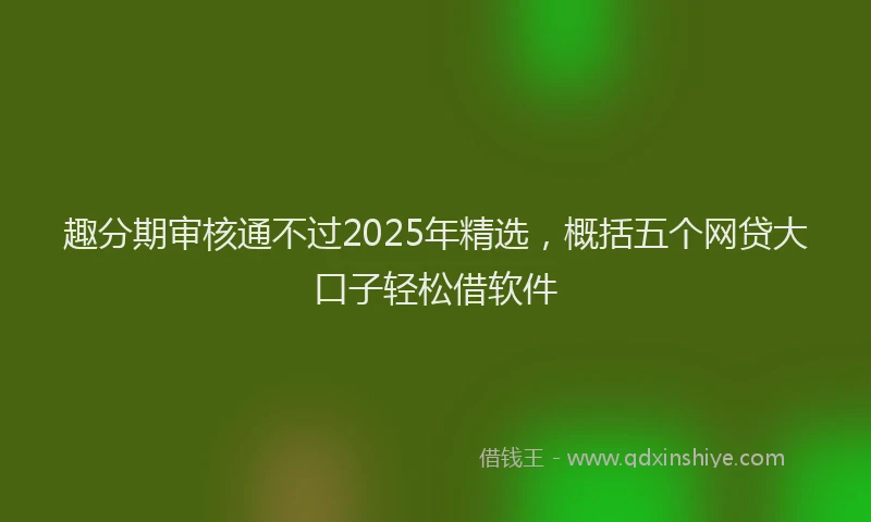 趣分期审核通不过2025年精选，概括五个网贷大口子轻松借软件