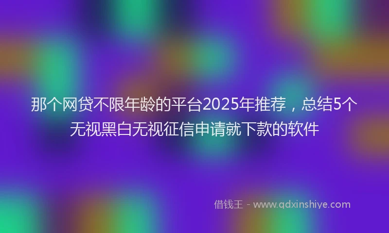 那个网贷不限年龄的平台2025年推荐，总结5个无视黑白无视征信申请就下款的软件