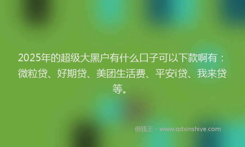 2025年的超级大黑户有什么口子可以下款啊有：微粒贷、好期贷、美团生活费、平安i贷、我来贷等。