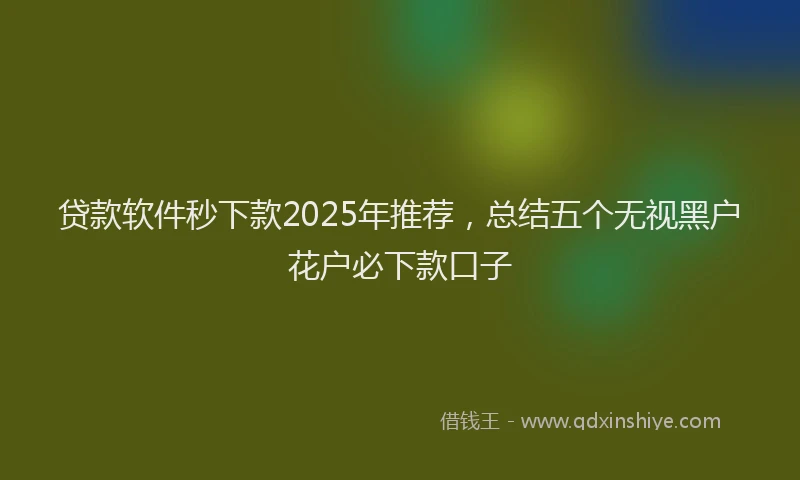 贷款软件秒下款2025年推荐，总结五个无视黑户花户必下款口子