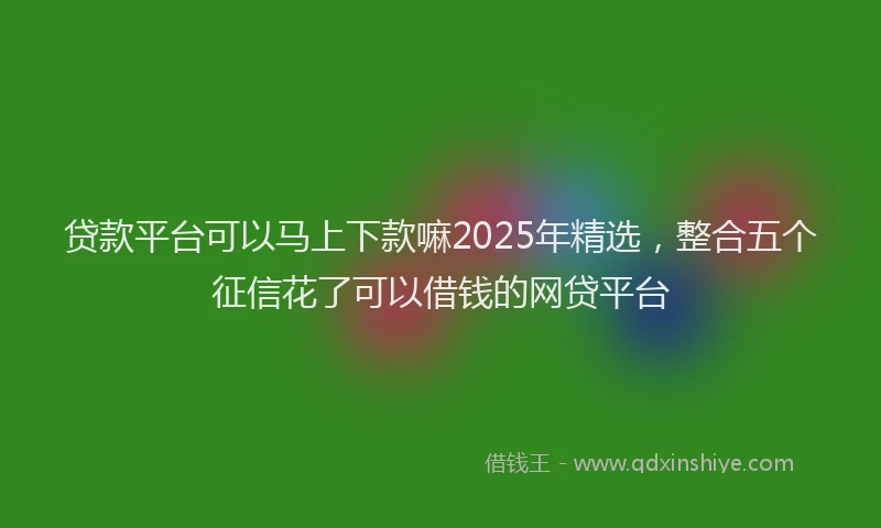 贷款平台可以马上下款嘛2025年精选，整合五个征信花了可以借钱的网贷平台