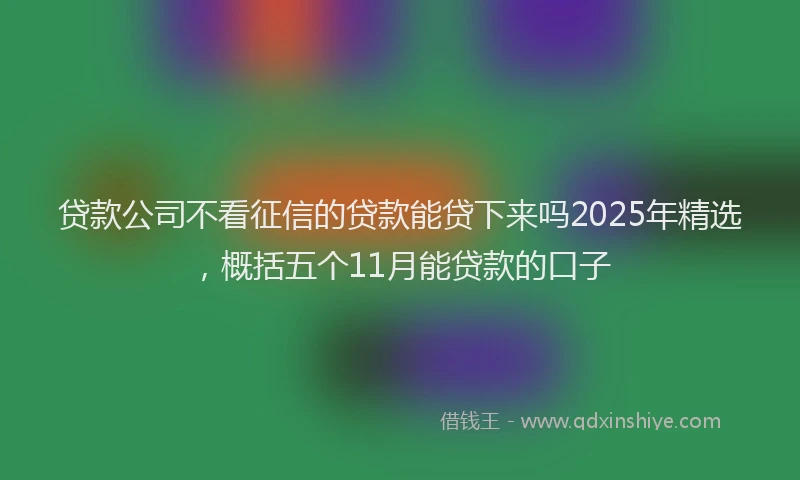 贷款公司不看征信的贷款能贷下来吗2025年精选，概括五个11月能贷款的口子