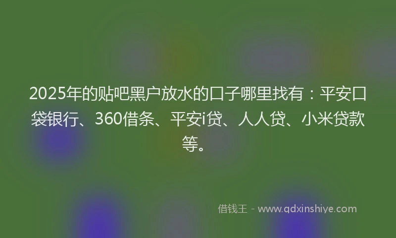 2025年的贴吧黑户放水的口子哪里找有：平安口袋银行、360借条、平安i贷、人人贷、小米贷款等。