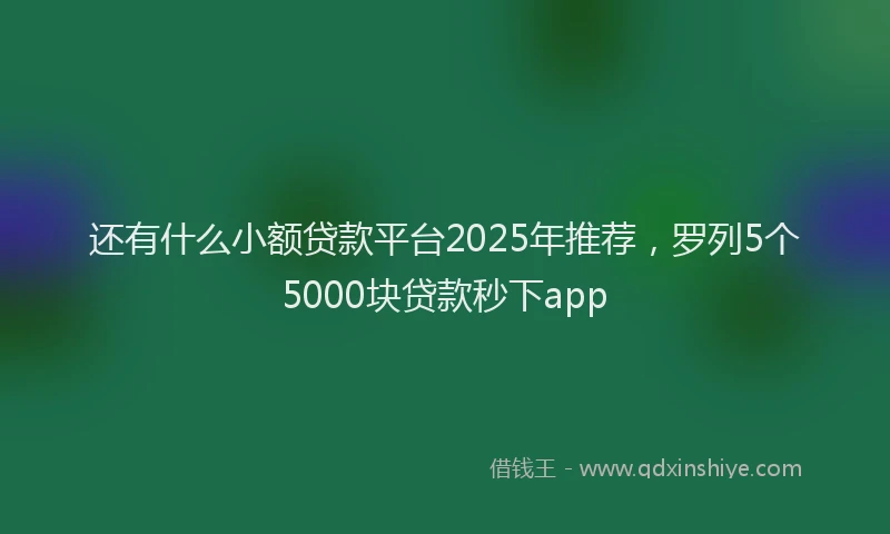 还有什么小额贷款平台2025年推荐，罗列5个5000块贷款秒下app