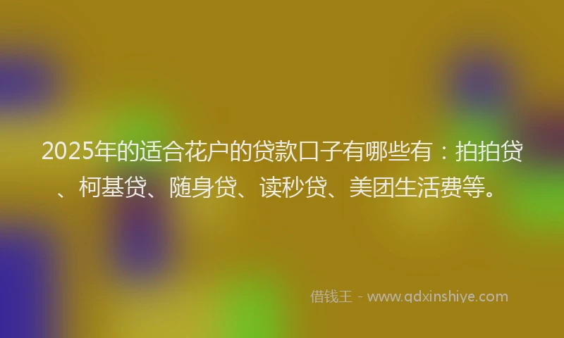 2025年的适合花户的贷款口子有哪些有：拍拍贷、柯基贷、随身贷、读秒贷、美团生活费等。