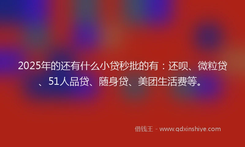 2025年的还有什么小贷秒批的有：还呗、微粒贷、51人品贷、随身贷、美团生活费等。