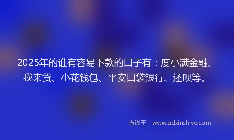 2025年的谁有容易下款的口子有：度小满金融、我来贷、小花钱包、平安口袋银行、还呗等。