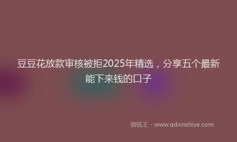 豆豆花放款审核被拒2025年精选，分享五个最新能下来钱的口子