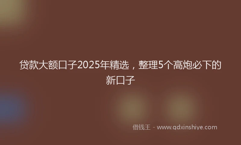 贷款大额口子2025年精选，整理5个高炮必下的新口子
