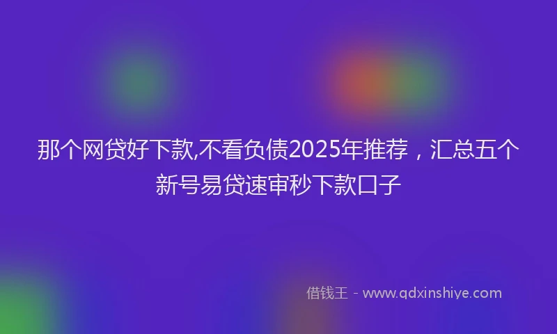 那个网贷好下款,不看负债2025年推荐，汇总五个新号易贷速审秒下款口子