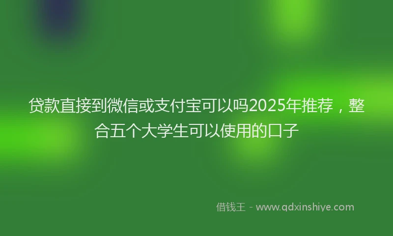 贷款直接到微信或支付宝可以吗2025年推荐，整合五个大学生可以使用的口子