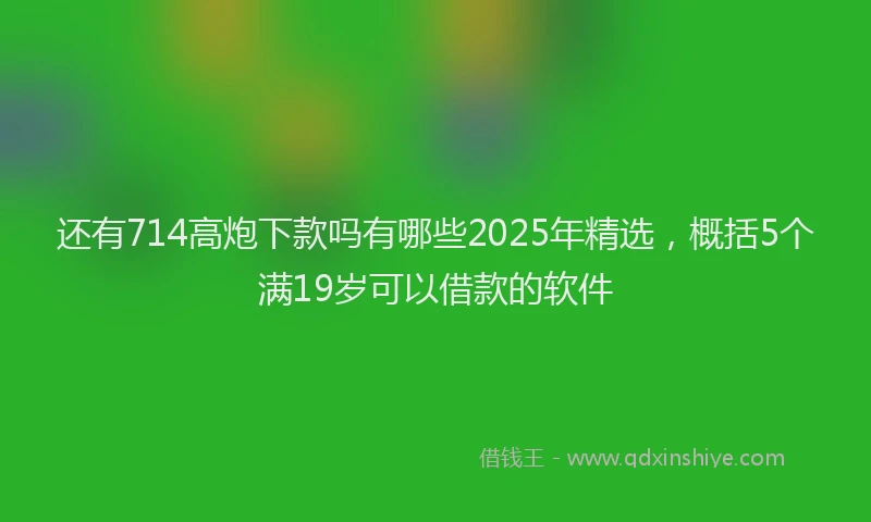 还有714高炮下款吗有哪些2025年精选，概括5个满19岁可以借款的软件