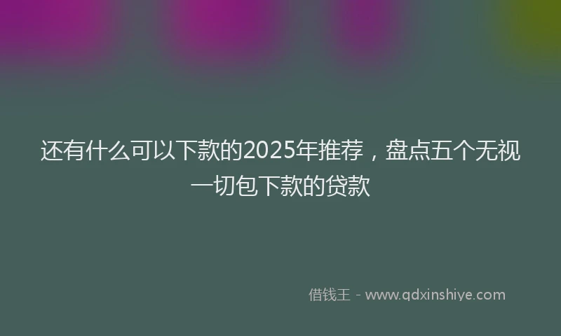 还有什么可以下款的2025年推荐，盘点五个无视一切包下款的贷款